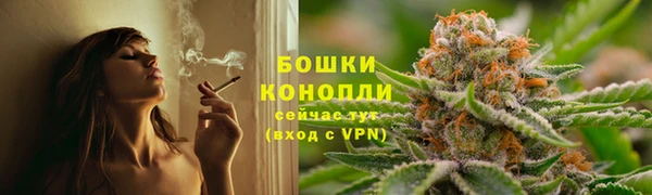 ПСИЛОЦИБИНОВЫЕ ГРИБЫ Навашино
