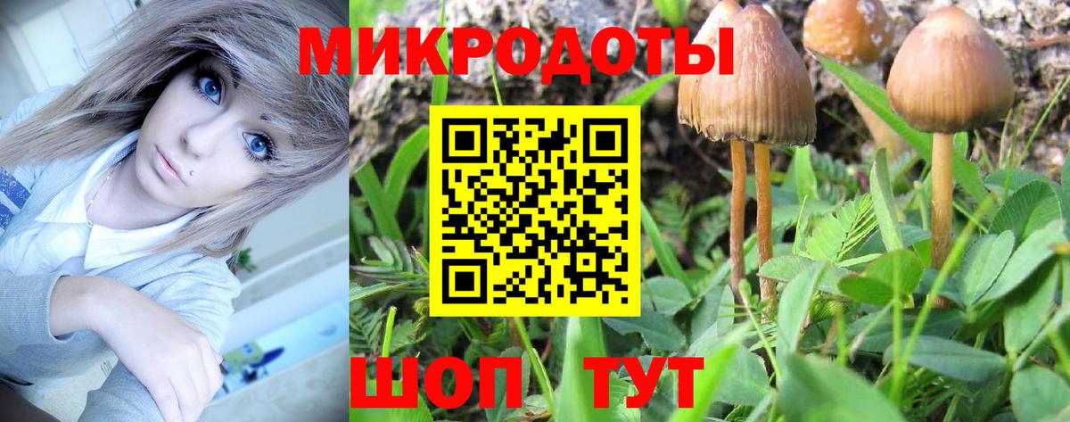 Нижневартовск  Псилоцибиновые грибы GOLDEN TEACHER  Вход с VPN 